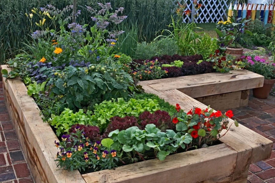 Edible garden softscaping