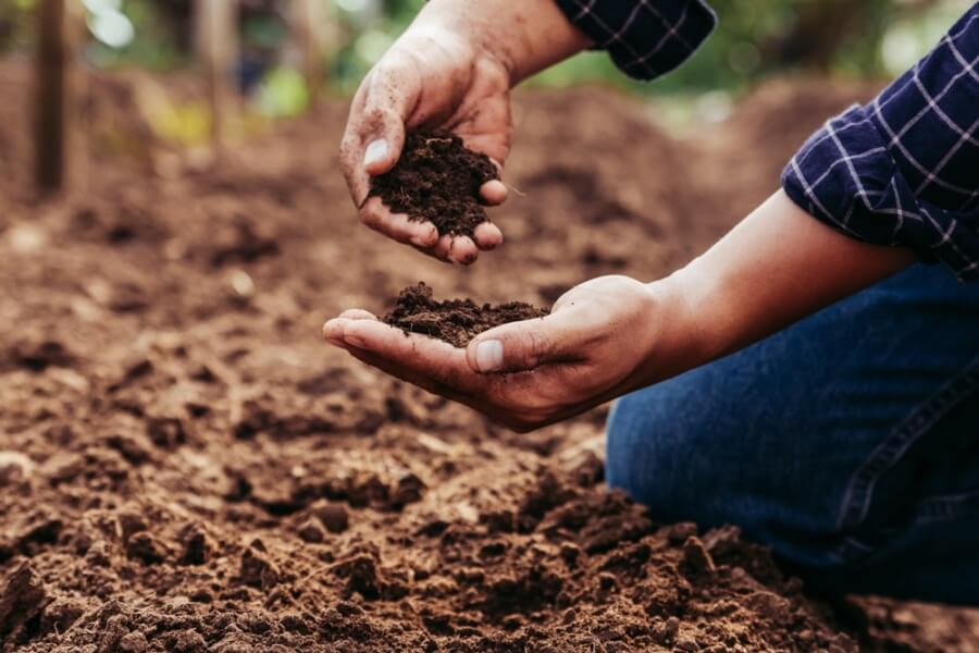 Soil quality test landscaping project